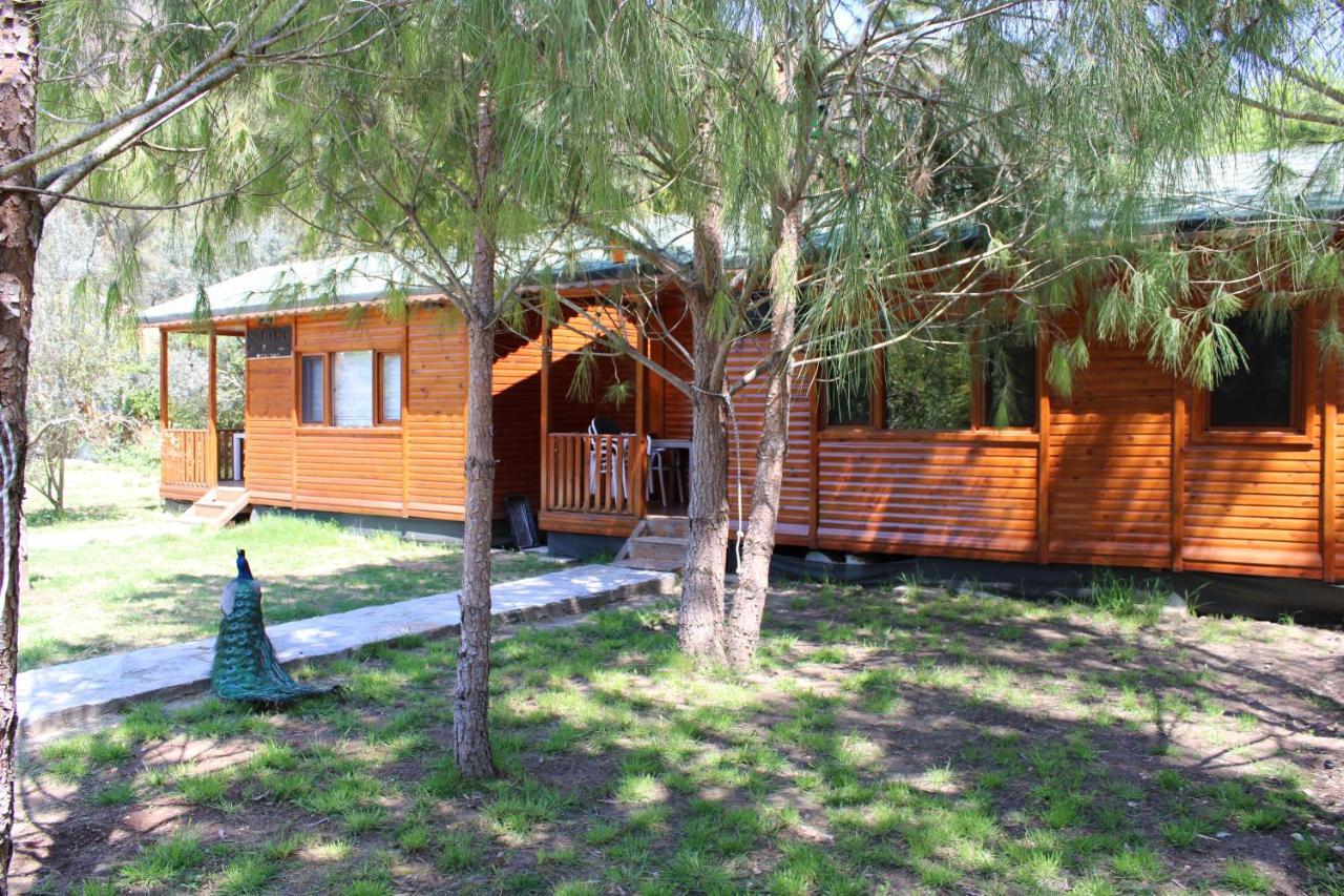 Seker Bungalov Apartment Çıralı Ngoại thất bức ảnh