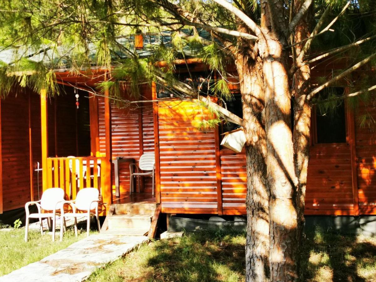 Seker Bungalov Apartment Çıralı Ngoại thất bức ảnh