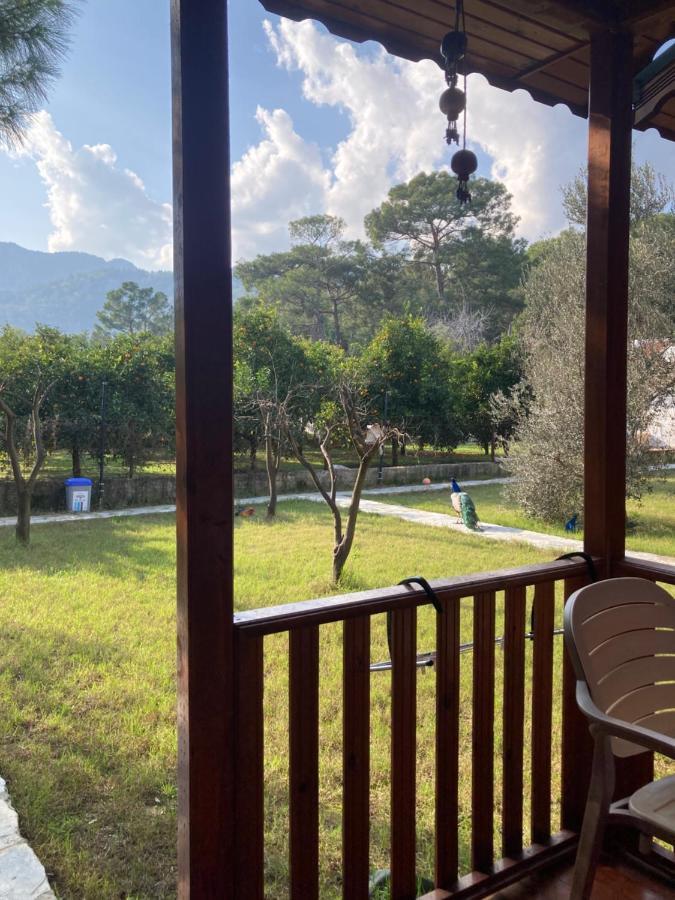 Seker Bungalov Apartment Çıralı Ngoại thất bức ảnh